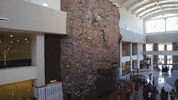 Lamar Rec GIF by Lamar University