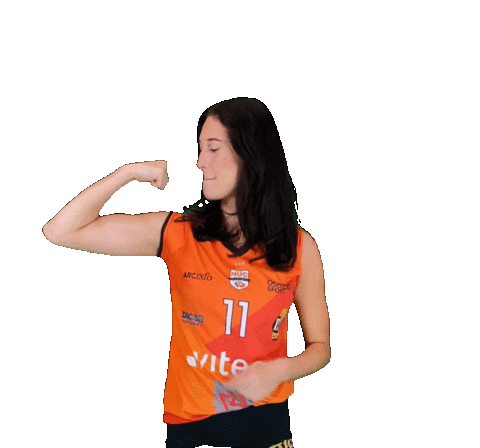 Volley Sticker by NUCVolleyball