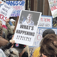 Organize Human Rights GIF by Creative Courage