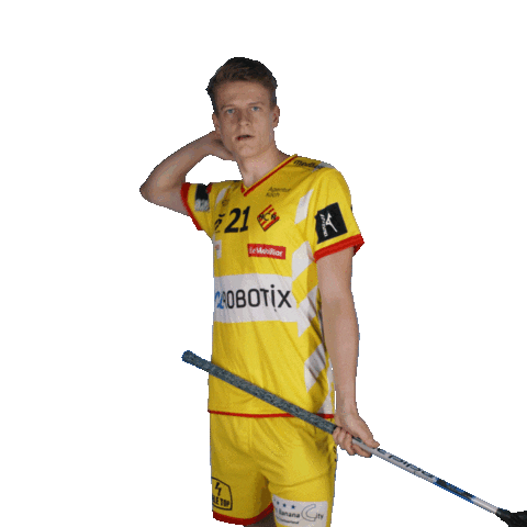 Arrow Floorball Sticker by HC Rychenberg