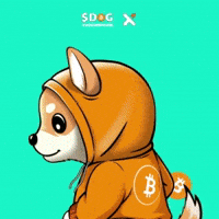 Underdog Dog Play GIF by $DOG