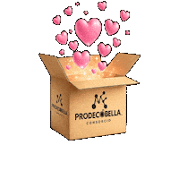 Caja Paquete Sticker by Prodecobella