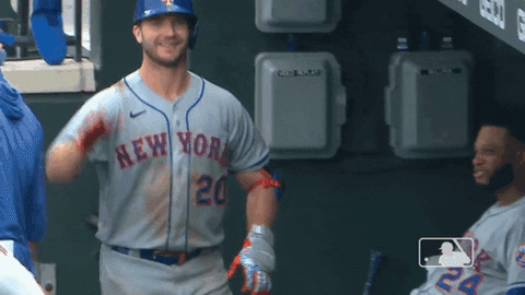 Ny Mets GIF by New York Mets