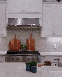 Real Estate Agent Blanca GIF by Rise Property Group