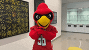 Excited Big Red GIF by Lamar University