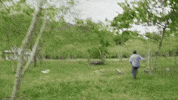 viceland GIF by JUNGLETOWN