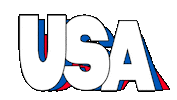 Celebrate United States Sticker by Mat Voyce