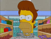 homer simpson comeback GIF