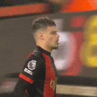 Premier League Point GIF by AFC Bournemouth