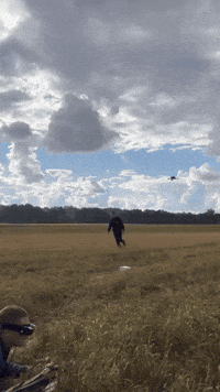 Eima Remis GIF