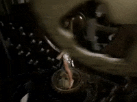 celinedion celine dion im alive GIF