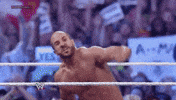 wrestlemania 30 wrestling GIF by WWE