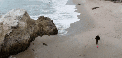 climate change dog GIF by Global Entertainment