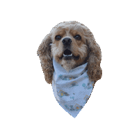 Lady And The Tramp Sticker by Geekster Pets