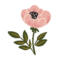 Flower Roses Sticker