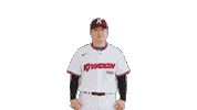 Kbo Sticker by Kiwoom Heroes Baseball Club