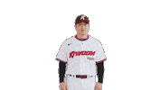 Kbo Sticker by Kiwoom Heroes Baseball Club
