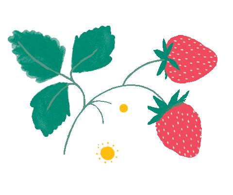 Pick Your Own Strawberry Fields Sticker by Meri Meri