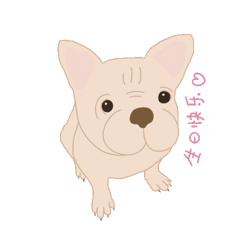 Wonderxskincare Sticker