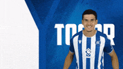 2 Bundesliga Football GIF by Karlsruher SC