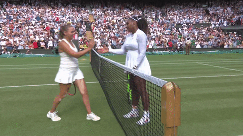 handshake serena GIF by Wimbledon