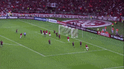 Paolo Guerrero Colorado GIF by Sport Club Internacional