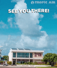 Airline GIF by Tropic Air Belize