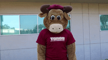 csudhteddytoro happy yes thumbs up agree GIF
