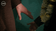 Trusting Matt Smith GIF by Doctor Who