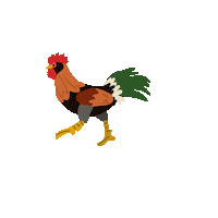 Farm Animals Chicken Sticker