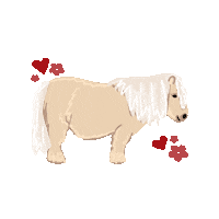 Farm Animals Chicken Sticker