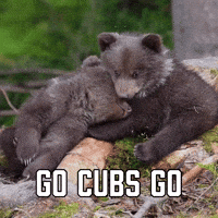 Lets Go Win GIF by Sealed With A GIF