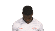 Happy Red Bulls Sticker by Bundesliga