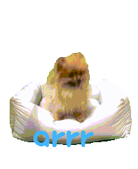 아르르 Sticker by arrr_official