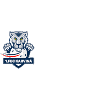 Floorball Sticker by Florbal Karviná