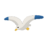Animation Flying Sticker