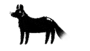 animation melting Sticker by Lois de Silva