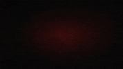 Goal GIF by AC Sparta Praha
