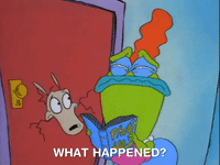 Rockos Modern Life Nicksplat GIF by NickRewind