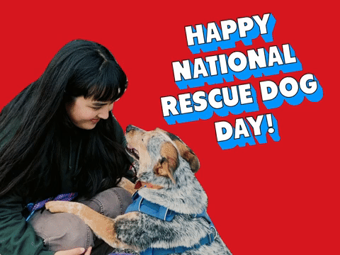 National Rescue Dog Day
