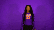 Clemsonvb Championshipbehavior GIF by Clemson Tigers