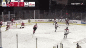 Moose Jaw Warriors GIF
