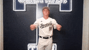 Georgia Tech Baseball GIF by Georgia Tech Yellow Jackets