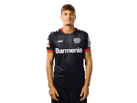 Bayer 04 Werkself Sticker by Bayer 04 Leverkusen