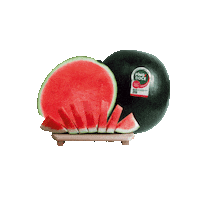 melanciapingodoce melancia pingo doce melancia pingo doce sementes comestíveis Sticker