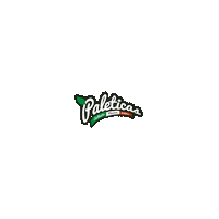 Paletas Sticker by Holistik
