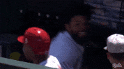 Baseball Mlb GIF by Cincinnati Reds