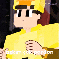 Aşkım Çok Pardon GIF