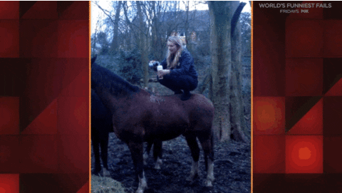 world's funniest fails GIF by Fox TV