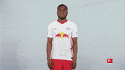 Happy Rb Leipzig GIF by Bundesliga